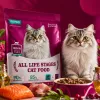 Cross-border cat food is a natural, grain-free, high-protein and nutritious meal specifically designed for adult cats Specification image